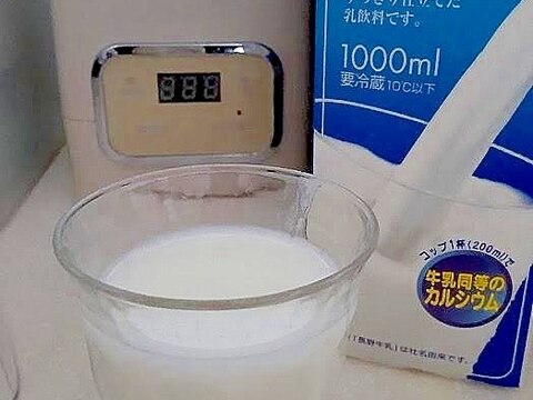 【増量】ヨーグルトメーカーでR-1飲むヨーグルト